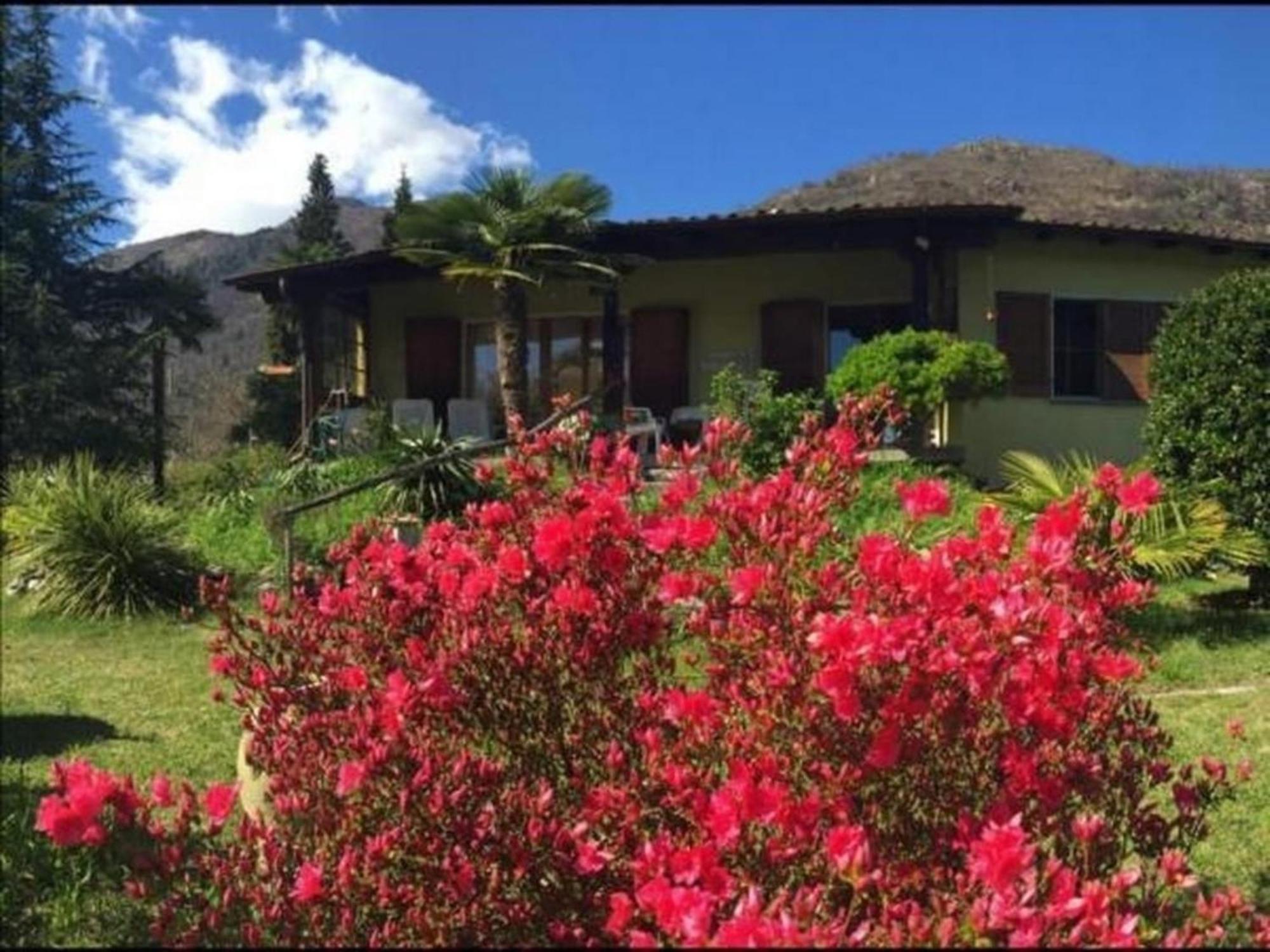 """Casa Elena -Tegna"" Die Ruheoase In Grossem Garten" Екстер'єр фото